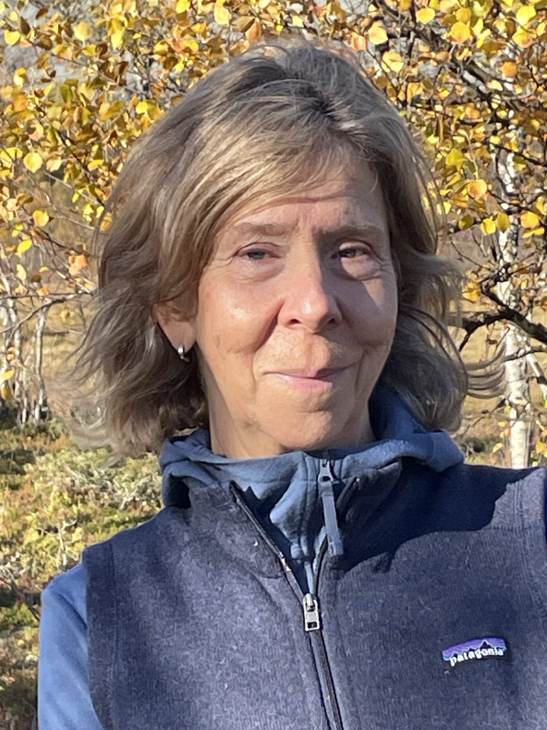 Bild av Anne Ralf Hållbus